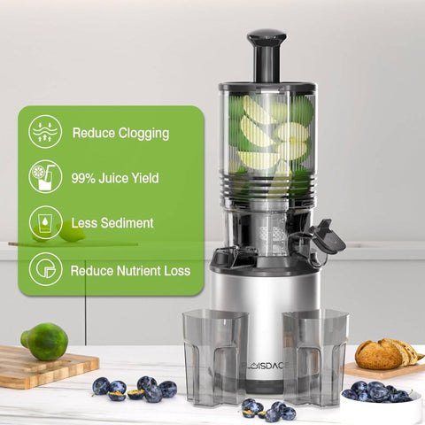 350W Slow Masticating Cold Press Juicer Machine with 6.5 Large Feed Chute & Hands-Free Operation - Heavy-Duty Whole Fruit & Vegetable Juicer, Easy Assembly, Low-Speed Mastication for Green Juice (Avocado, Wheatgrass, Leafy Greens)