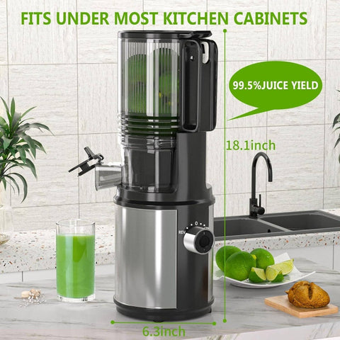 350W Slow Masticating Cold Press Juicer Machine with 6.5 Large Feed Chute & Hands-Free Operation - Heavy-Duty Whole Fruit & Vegetable Juicer, Easy Assembly, Low-Speed Mastication for Green Juice (Avocado, Wheatgrass, Leafy Greens)