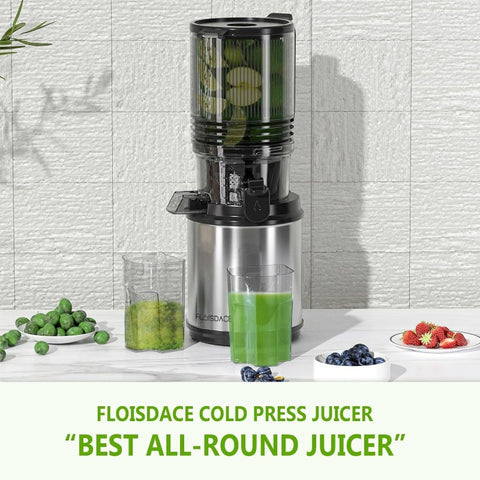 350W Slow Masticating Cold Press Juicer Machine with 6.5 Large Feed Chute & Hands-Free Operation - Heavy-Duty Whole Fruit & Vegetable Juicer, Easy Assembly, Low-Speed Mastication for Green Juice (Avocado, Wheatgrass, Leafy Greens)